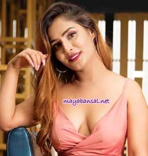 Top Class & Highly Reputated Udaipur Call Girls Service